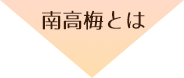 肥料は有機肥料のみ