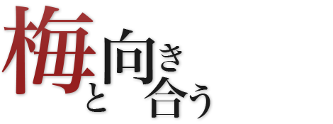 美味しさの秘密、筋本農園の特許製法